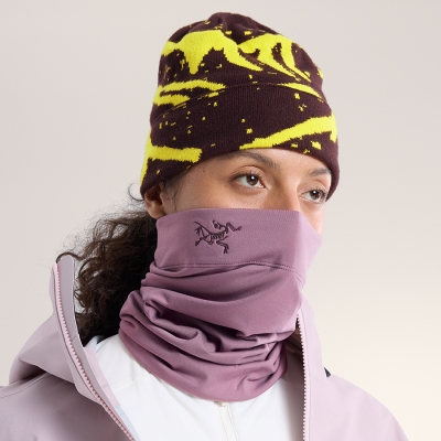 アークテリクス セイバーインデックスミトン Mサイズ 𝐃𝐑𝐒𝐓𝐍𝐌𝐃 | ARC'TERYX Squamish Hoody M Arctic Silk