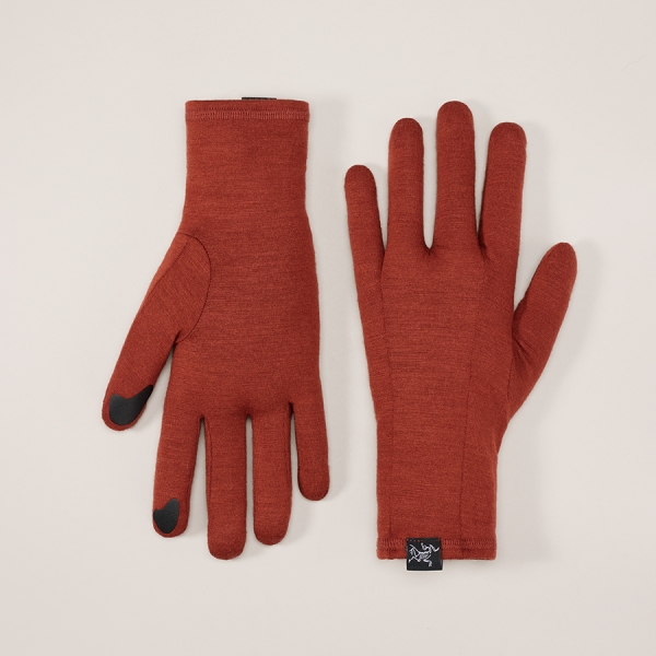 아크테릭스 공식 온라인 스토어 [FW24]  고딕 글러브